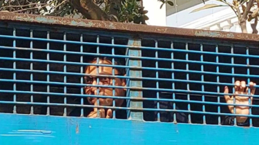 আপনারা মুক্ত আছেন তো? আমরা বোবা : পলক