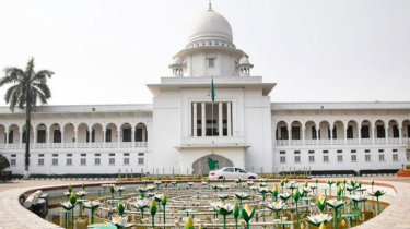 কোটা নিয়ে আপিল শুনানি রবিবার 