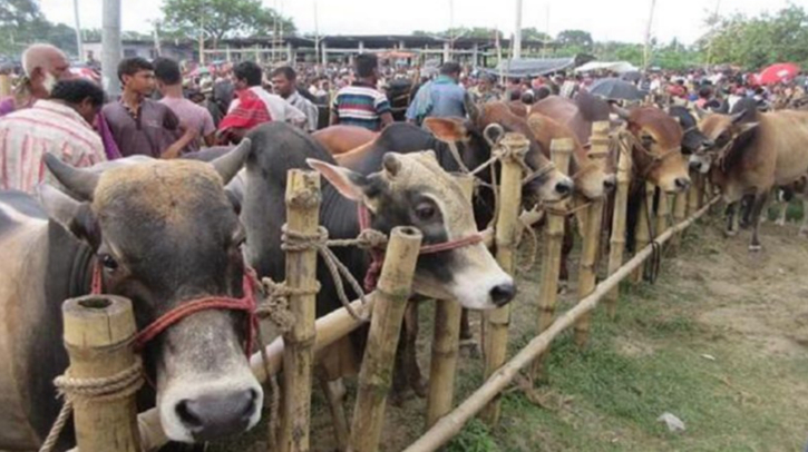 রাজধানীর যেসব জায়গায় বসবে কোরবানির পশুর হাট রাজধানীর যেসব জায়গায় বসবে কোরবানির পশুর হাট