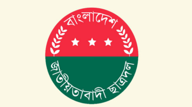 গাজায় ইসরায়েলের গণহত্যায় নিন্দা ও কর্মসূচি ঘোষণা ছাত্রদলের!