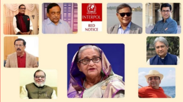 ইন্টারপোলে হাসিনাসহ ১২ জনের নামে রেড নোটিশ জারির আবেদন