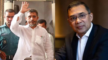 তারেক রহমান-বাবরের খালাসের বিরুদ্ধে আপিল শুনানি চলছে