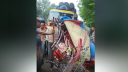 গাইবান্ধায় ট্রাকচাপায় নিহত ৩