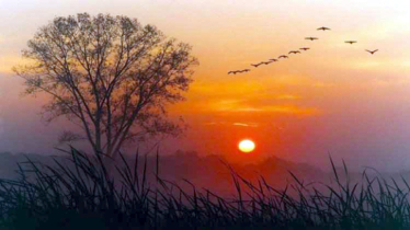 সংস্কার ও শোকের বছর: বিদায় ২০২৫, অগ্নিপরীক্ষার পথে বাংলাদেশ