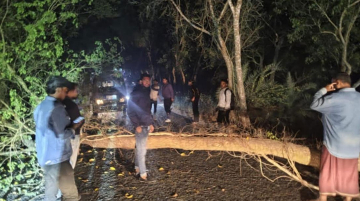 নওগাঁয় সড়কে গাছ ফেলে ডাকাতির চেষ্টা নওগাঁয় সড়কে গাছ ফেলে ডাকাতির চেষ্টা