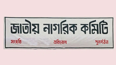 জাতীয় নাগরিক কমিটিতে যুক্ত হলেন আরও ৪১ জন