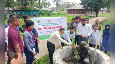 জুলাই শহীদদের স্মরণে ‘এক শহীদ, এক বৃক্ষ’ রোপণ কর্মসূচি পালন