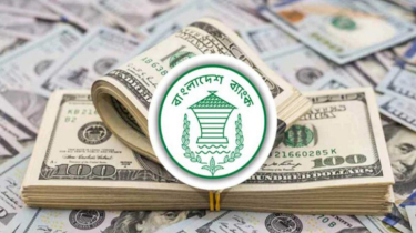 বৈদেশিক মুদ্রার রিজার্ভ কমল