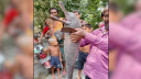 ঝিনাইদহে গড়াই নদীতে ধরা পড়ল বিলুপ্তপ্রায় শুশুক