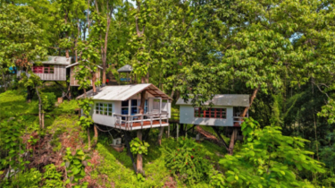 বন্ধ ঘোষণা করা হলো বান্দরবানের ৬০ পর্যটন স্পট