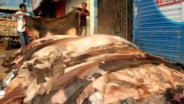 কোরবানির মৌসুমে চামড়া নিয়ে পুরনো সংকট