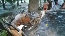 যশােরে গাছের সঙ্গে প্রাইভেটকারের ধাক্কা, নিহত ২
