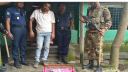 মাগুরায় সাবেক ছাত্রদল নেতা আটক, বাড়ি থেকে অস্ত্র-ইয়াবা উদ্ধার