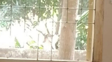 পুলিশ ফাঁড়ির জানালার গ্রিল ভেঙে পালাল মাদক ব্যবসায়ী