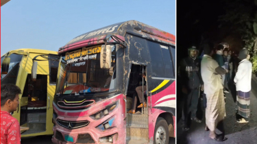 বরগুনায় সড়কে গাছ ফেলে যাত্রীবাহী বাসে ডাকাতি