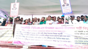 পল্লী বিদ্যুৎ ইস্যুতে সরকার স্বৈরাচারের মতো আচরণ করছে