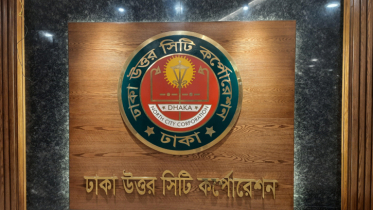 ঢাকায় সবুজায়ন করতে জুনে গাছ লাগানো শুরু করবে ডিএনসিসি