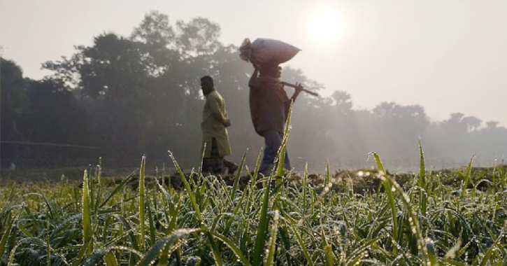 পঞ্চগড়ের তাপমাত্রা আবারও নামল ১২ ডিগ্রিতে