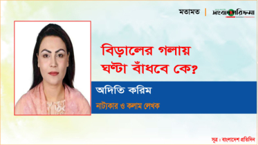 বিড়ালের গলায় ঘণ্টা বাঁধবে কে?