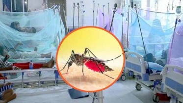 ডেঙ্গু কেড়ে নিল আরো ৪ প্রাণ ডেঙ্গু কেড়ে নিল আরো ৪ প্রাণ