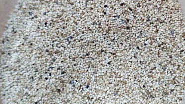 পাখির খাবারের চালানে ধরা পড়ল ২৫ টন পপি বীজ পাখির খাবারের চালানে ধরা পড়ল ২৫ টন পপি বীজ