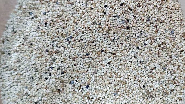 পাখির খাবারের চালানে ধরা পড়ল ২৫ টন পপি বীজ