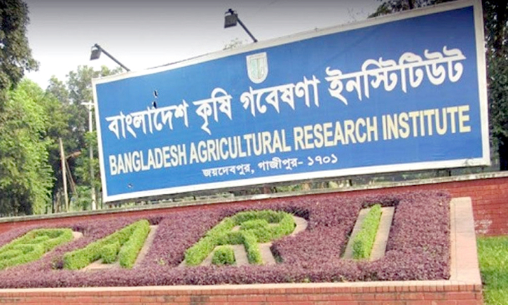 পরীক্ষা ছাড়াই ৪২ জন পেয়েছেন সরকারি চাকরি পরীক্ষা ছাড়াই ৪২ জন পেয়েছেন সরকারি চাকরি