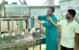 দিনাজপুরে বিশ্ব হাত ধোয়া দিবস পালিত