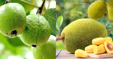 বাংলাদেশ থেকে কাঁঠাল-পেয়ারা আমদানিতে আগ্রহী চীন