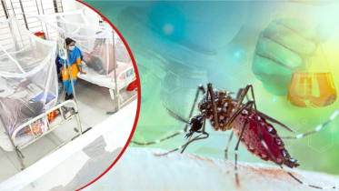 ডেঙ্গুতে ৬ জনের মৃত্যু, হাসপাতালে ভর্তি ৯৫৩