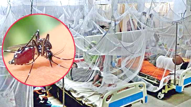 ডেঙ্গু কেড়ে নিল আরও ৫ প্রাণ ডেঙ্গু কেড়ে নিল আরও ৫ প্রাণ
