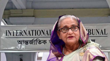 শেখ হাসিনার মামলায় ১৪তম দিনের সাক্ষ্যগ্রহণ আজ