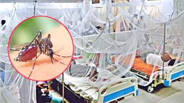 ডেঙ্গুতে আরও ৫ জনের মৃত্যু, হাসপাতালে ভর্তি ৬৬৮ জন