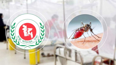 ডেঙ্গুতে একদিনে ৩ মৃত্যু, হাসপাতালে ভর্তি ৭৩৫