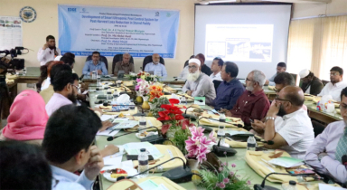 আল্ট্রাসনিক প্রযুক্তিতে ধানের পোকা দমনে নতুন প্রযুক্তি বছরে শত শত কোটি টাকা সাশ্রয়ের সম্ভাবনা