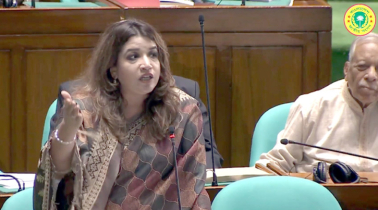 বিএনপির হাত ধরেই সব সংস্কার বাস্তবায়ন হবে : পররাষ্ট্র প্রতিমন্ত্রী