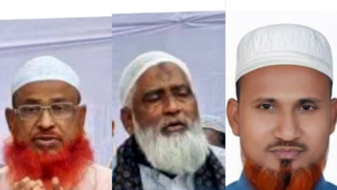 মুরগির বিষ্ঠার ভাগ নিয়ে মারামারি, কারাগারে জামায়াতের ৩ নেতা