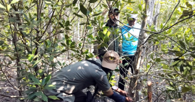 বন্যপ্রাণী রক্ষায় সুন্দরবনে বন বিভাগের কড়া নজর