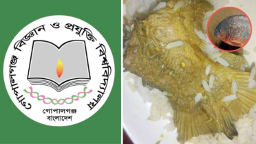 বিশ্ববিদ্যালয়ের ডাইনিং মেন্যুতে পিরানহা মাছ পরিবেশনের অভিযোগ শিক্ষার্থীদের