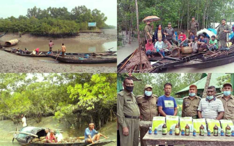 সুন্দরবনে বন অপরাধবিরোধী অভিযানে আটক ৪৬, মামলা ৮৯