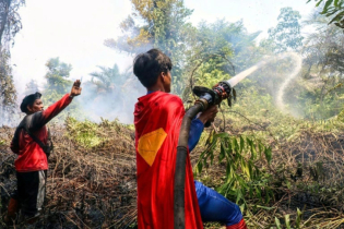 ‘মনোবল ধরে রাখুন’: ইন্দোনেশিয়ার দাবানল নেভাতে কিশোর ‘সুপারম্যান’