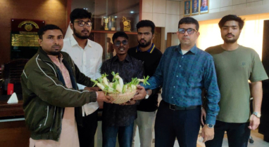 আশ্বাসেই সীমাবদ্ধ, যবিপ্রবি উপাচার্যকে মূলা উপহার শিক্ষার্থীদের