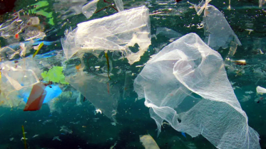 বঙ্গোপসাগরের ২ কিলোমিটার গভীরেও প্লাস্টিক দূষণ বঙ্গোপসাগরের ২ কিলোমিটার গভীরেও প্লাস্টিক দূষণ