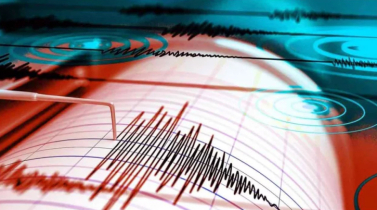 ১২ ঘণ্টায় ৯ বার ভূমিকম্পে কাঁপলো ভারত, পাকিস্তান