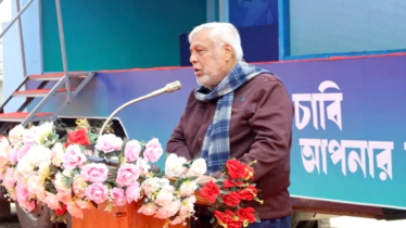 গণভোট প্রচারণার দায়িত্ব সব রাজনৈতিক দলের : ফাওজুল