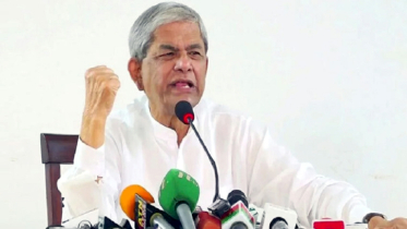 নির্বাচনে দেশের পক্ষের শক্তি বিএনপিকে বিজয়ী করবে: মির্জা ফখরুল