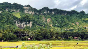 টেকনাফের পাহাড় থেকে ৬ কৃষক অপহরণ টেকনাফের পাহাড় থেকে ৬ কৃষক অপহরণ