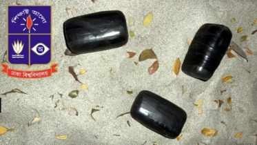 মধ্যরাতে ঢাবির জহুরুল হক হল থেকে ককটেল সদৃশ বস্তু উদ্ধার