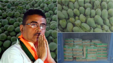 শুভেন্দু অধিকারীর কাছে ৫০০ কেজি আম উপহার পাঠালো বাংলাদেশ