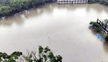 ঢাবির খেলার মাঠে দেশীয় মাছ অবমুক্ত করবে ডাকসু ঢাবির খেলার মাঠে দেশীয় মাছ অবমুক্ত করবে ডাকসু